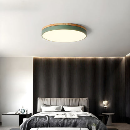 Royallure Organic Round Flush Mount Ceiling Light - Elegant LED Design - Green / D30cm*H6cm（18W) / Cold Light