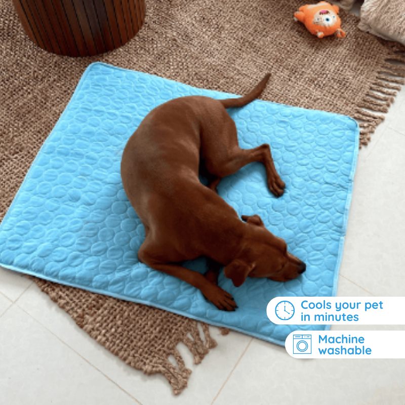 Furora Self-Cooling Mat for Dogs - 3-Layer Pet Cooling Pad for Heat Relief & Comfort