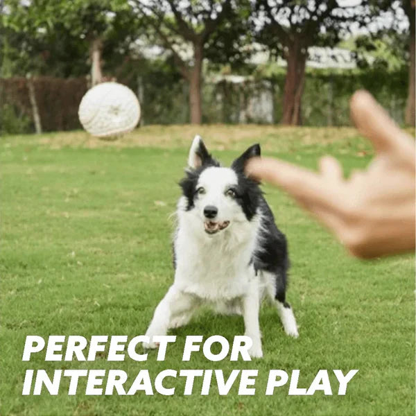 Pawelux Indestructible Chew Ball - Ultimate Toy for Aggressive Chewers and Dental Health