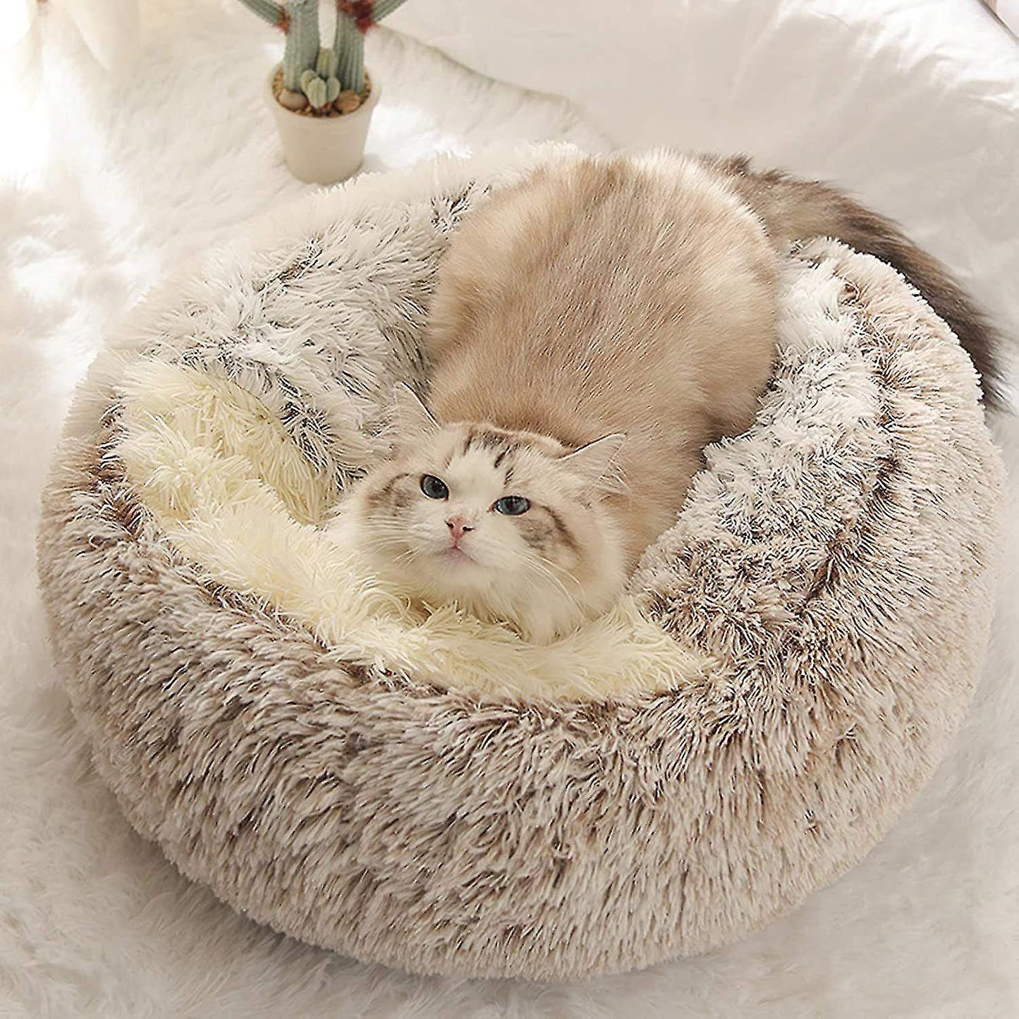 Furora Cozy Cocoon Calming Cat Bed - Plush, Ergonomic Design for Stress Relief and Joint Comfort - Machine Washable, Non-Slip Base