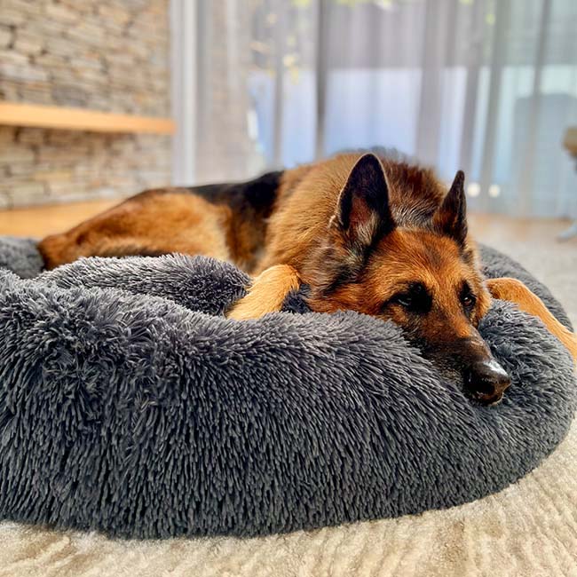 Pawelux Anti-Anxiety Deep Sleep Dog Bed – Cozy Faux Fur Sanctuary for All Breeds