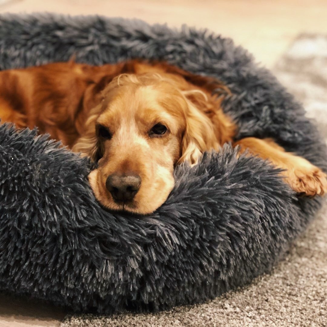 Pawelux Anti-Anxiety Deep Sleep Dog Bed – Cozy Faux Fur Sanctuary for All Breeds