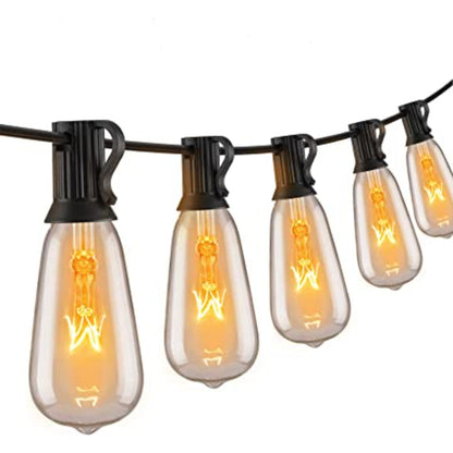 Outdoor dimmable string lights with glass bulbs, 20 ft corded electric LED for patios, gardens, and parties.