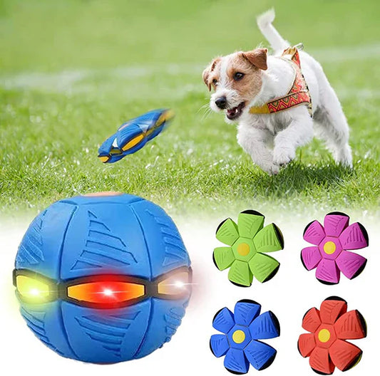 Pawelux Interactive Doggy Disc Ball - Safe, Bouncy Fetch Toy for Dogs