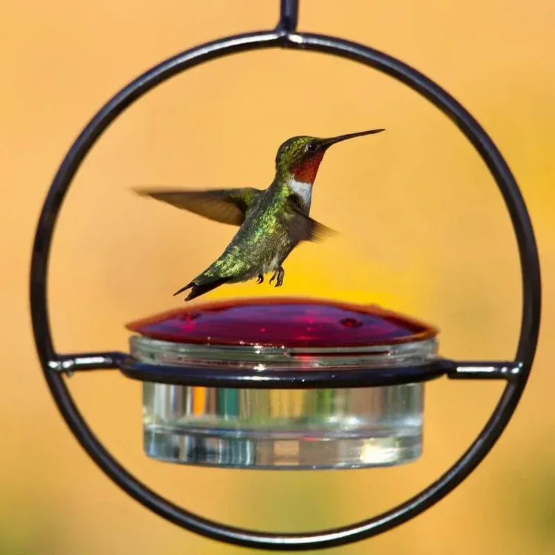 Royallure Hummingbird Feeder - Elegant, Bee-Proof and Easy to Clean Nectar Haven for Your Garden