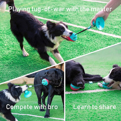 Pawelux Interactive Suction Cup Dog Toy - Durable, Non-Toxic Chew Toy for Dogs & Cats, Promotes Healthy Play and Oral Health