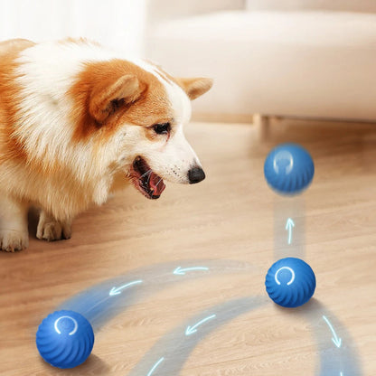 Pawellure Interactive Automatic Dog Teasing Ball - Smart Self-Rolling Pet Toy for Engaging Play and Energy Release