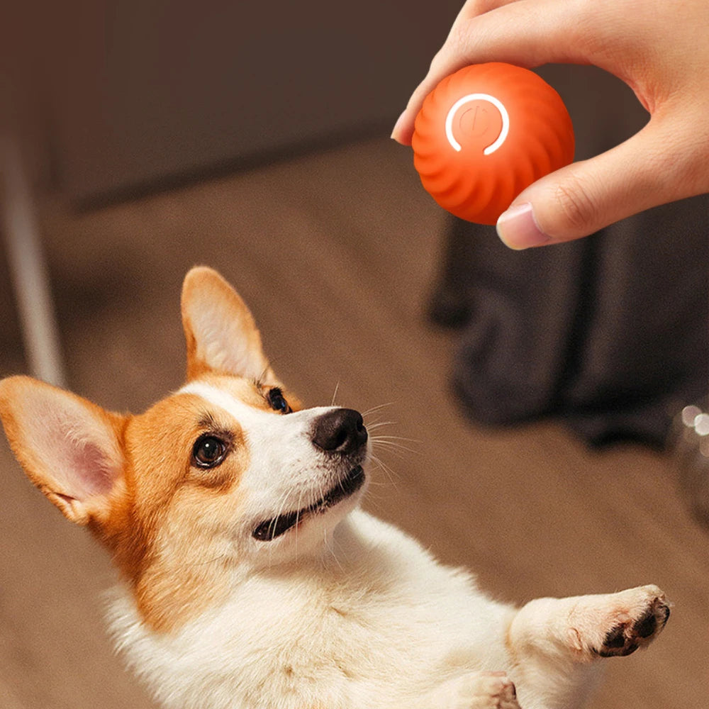 Pawellure Interactive Automatic Dog Teasing Ball - Smart Self-Rolling Pet Toy for Engaging Play and Energy Release