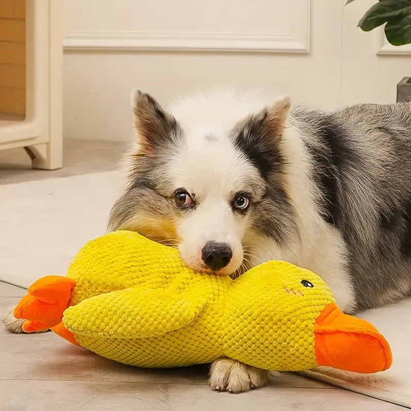 Furora Quack-Quack Calming Duck Dog Toy - Durable, Interactive Plush for All Breeds