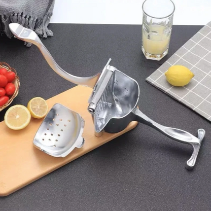 Rayvia Stainless Steel Lemon Squeezer for Easy Juicing