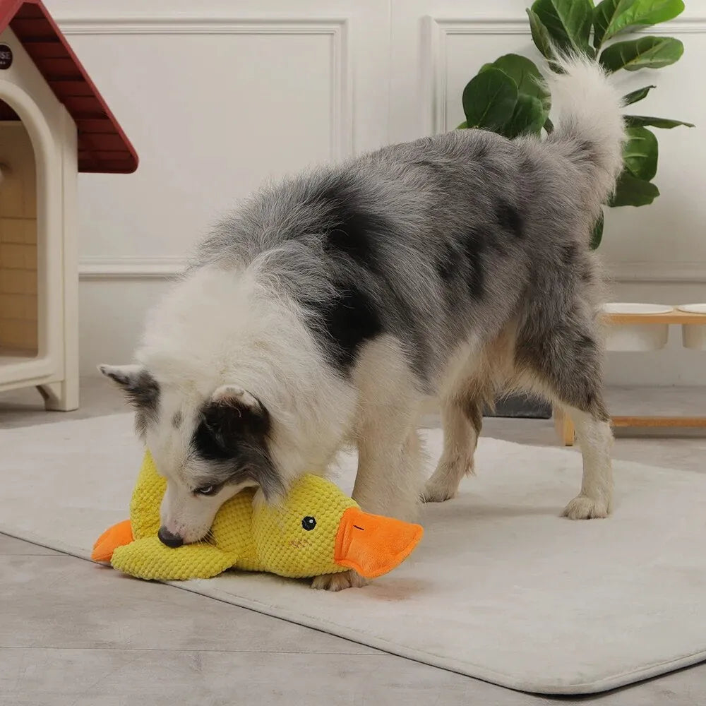 Furora Quack-Quack Calming Duck Dog Toy - Durable, Interactive Plush for All Breeds