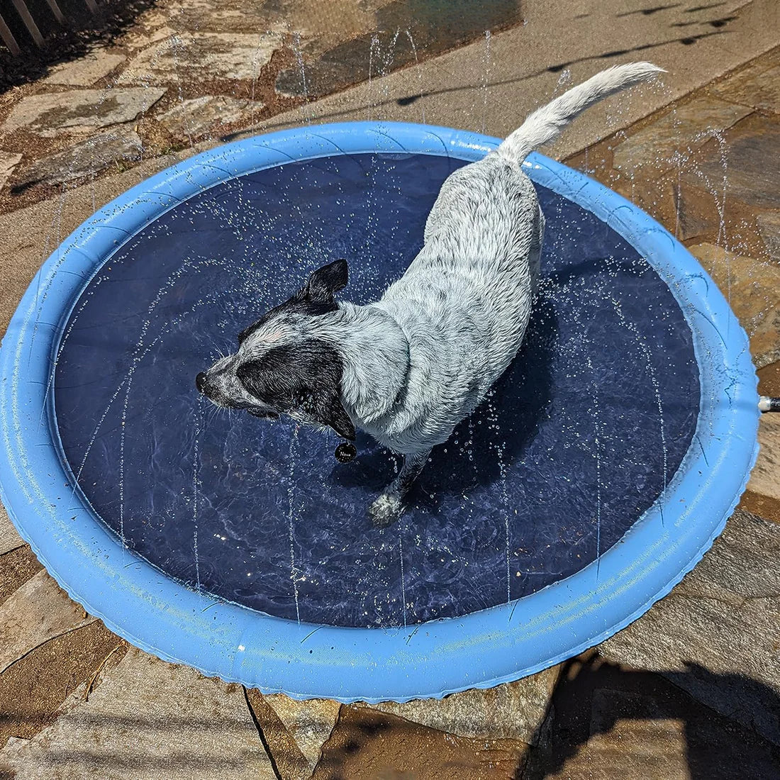 Pawellure Splash Pad for Dogs and Kids - Anti-Slip Summer Sprinkler Mat