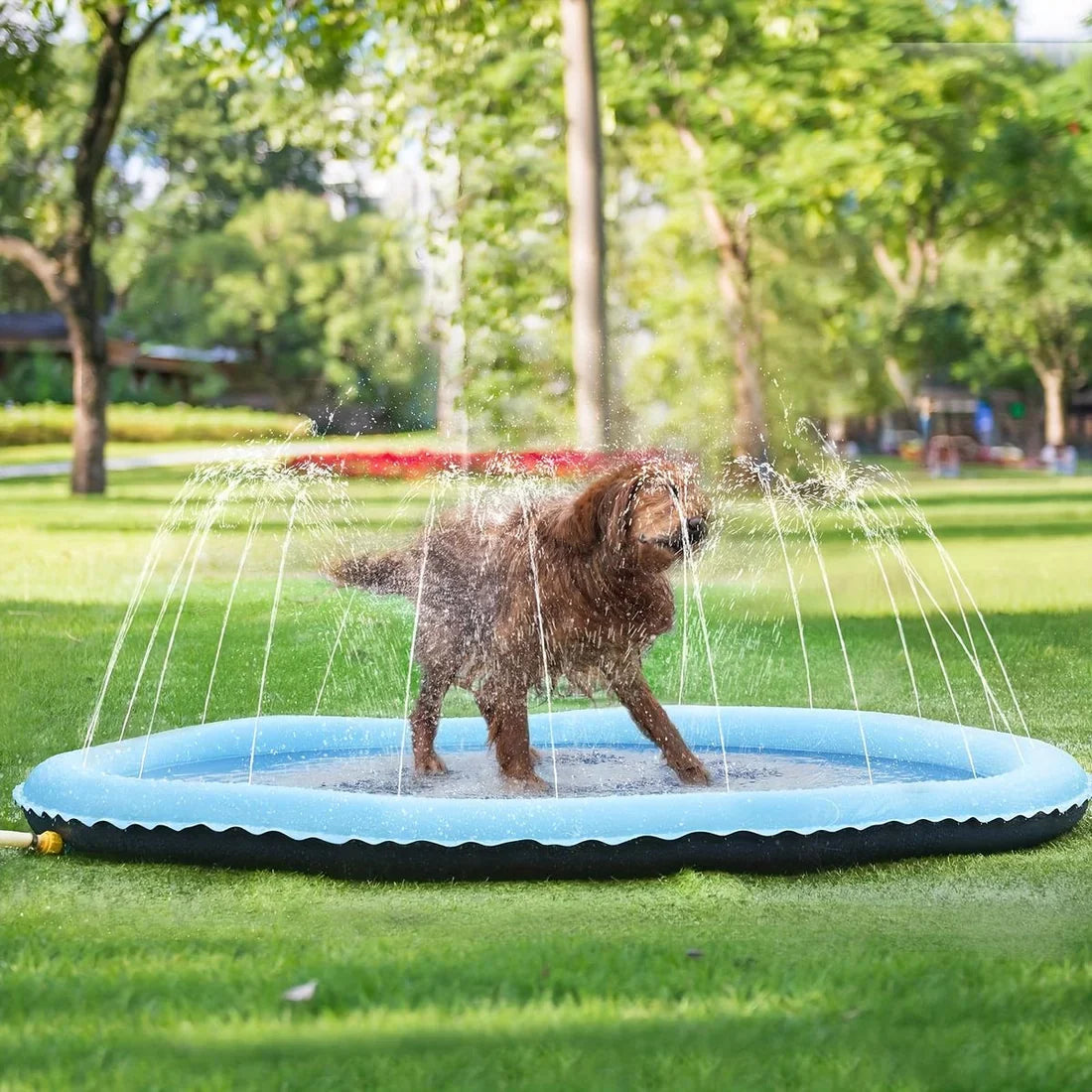 Pawellure Splash Pad for Dogs and Kids - Anti-Slip Summer Sprinkler Mat