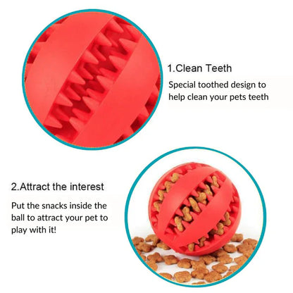 Pawellure Interactive Chew Ball for Dogs - Dental Health & Treat Dispenser Toy