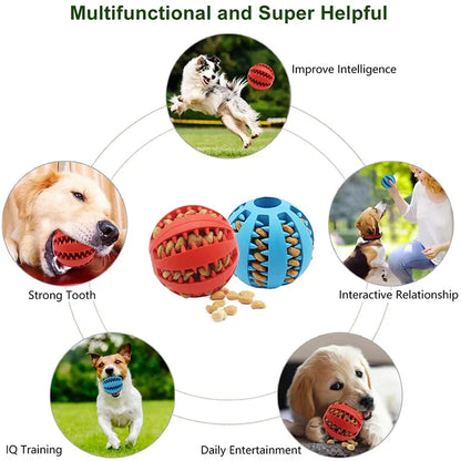 Pawellure Interactive Chew Ball for Dogs - Dental Health & Treat Dispenser Toy