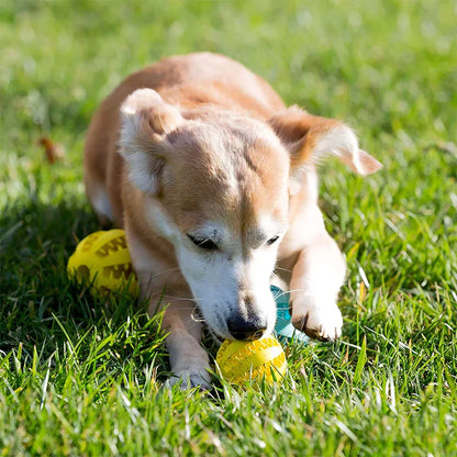 Pawellure Interactive Chew Ball for Dogs - Dental Health & Treat Dispenser Toy