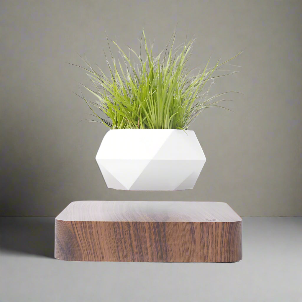 Levitating Air Bonsai Pot – Magnetic Floating Planter for Modern Desk Decor