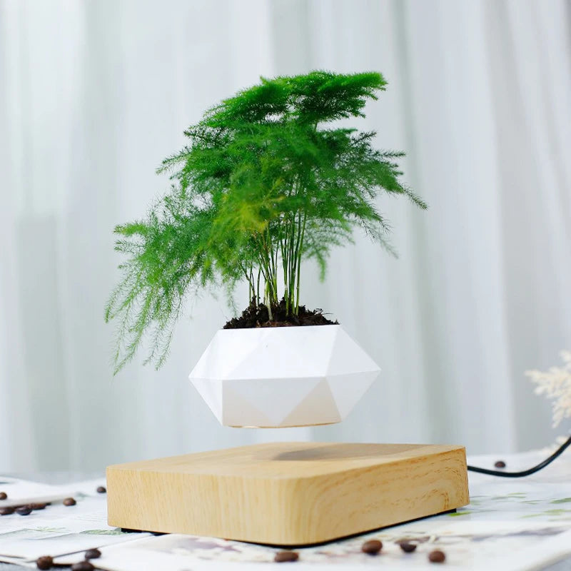 Levitating Air Bonsai Pot – Magnetic Floating Planter for Modern Desk Decor