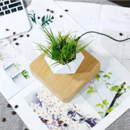 Levitating Air Bonsai Pot – Magnetic Floating Planter for Modern Desk Decor