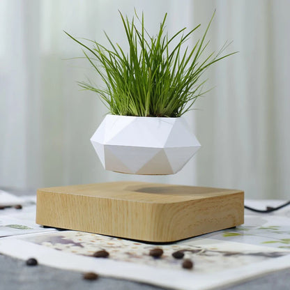 Levitating Air Bonsai Pot – Magnetic Floating Planter for Modern Desk Decor