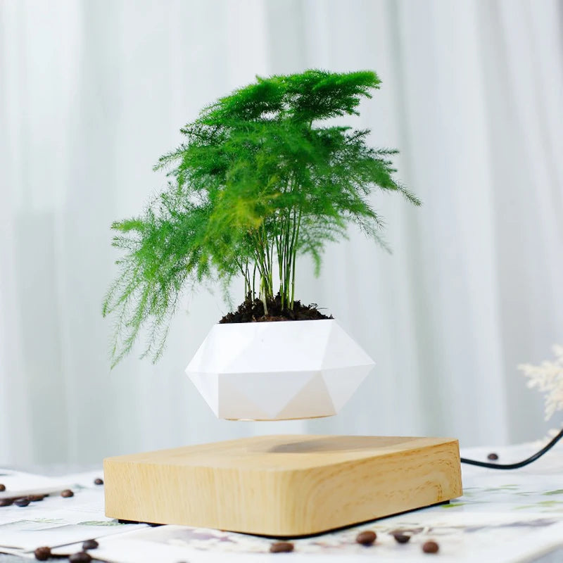 Levitating Air Bonsai Pot – Magnetic Floating Planter for Stylish Indoor Gardening