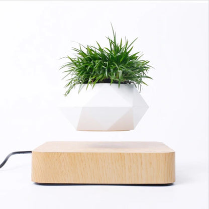 Levitating Air Bonsai Pot – Magnetic Floating Planter for Modern Desk Decor