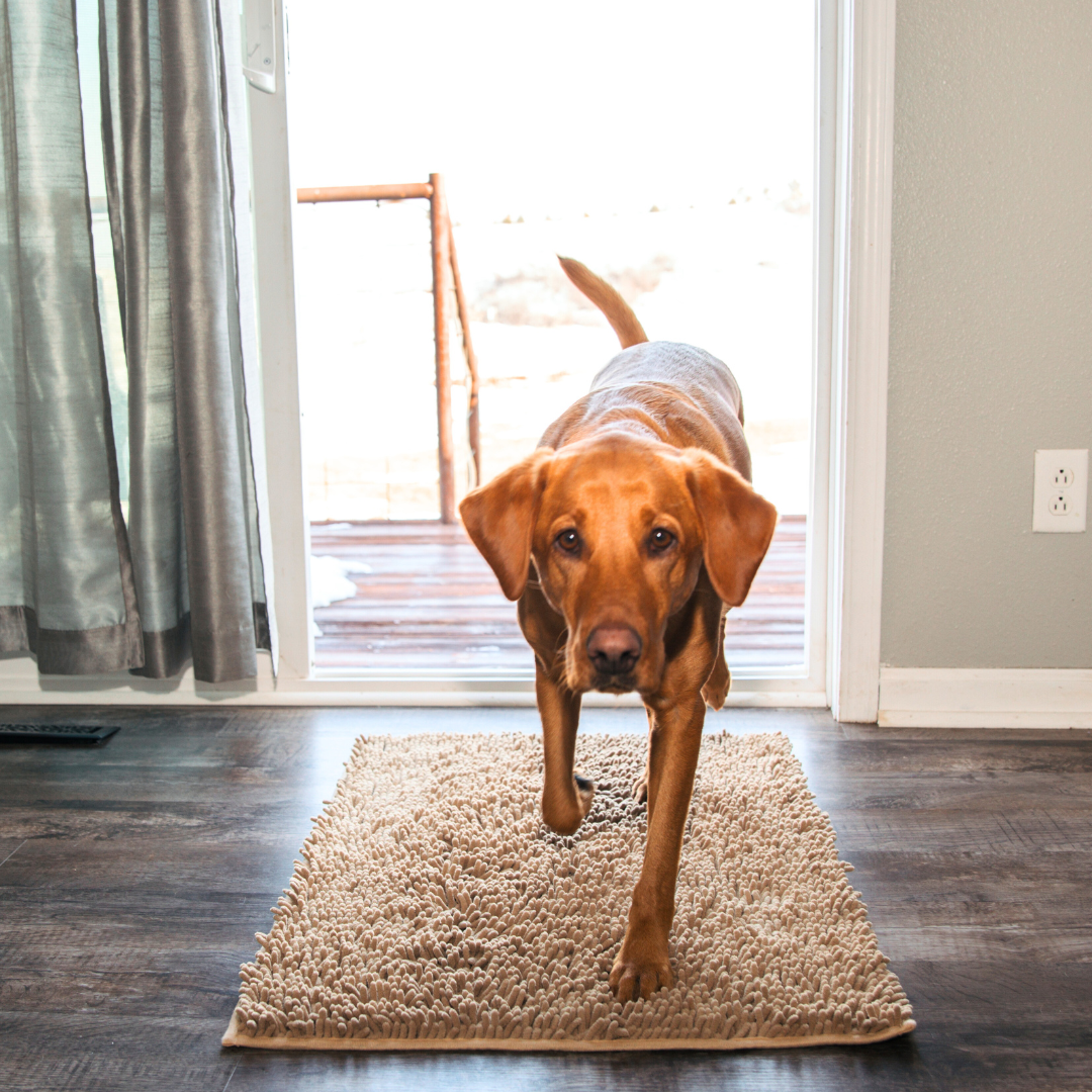 Furora Ultra-Absorbent Dog Mat - Non-Slip, Machine Washable, Soft & Stylish for Clean Floors