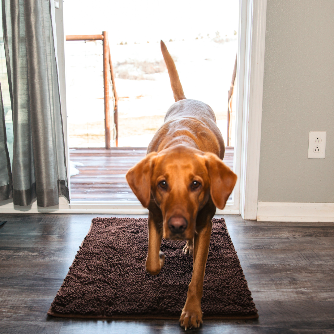 Furora Ultra-Absorbent Dog Mat - Non-Slip, Machine Washable, Soft & Stylish for Clean Floors