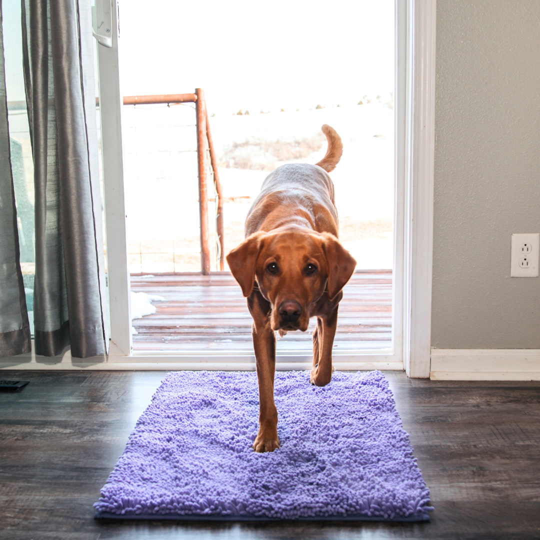 Furora Ultra-Absorbent Dog Mat - Non-Slip, Machine Washable, Soft & Stylish for Clean Floors