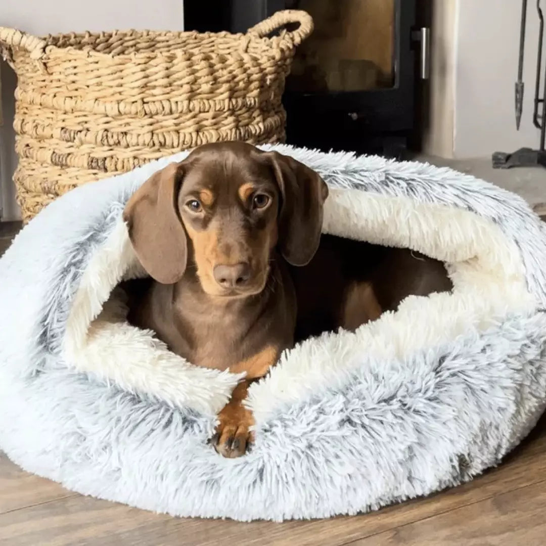 FurLuxe CozyNest Anxiety Relief Pet Bed for Small Dogs - Self-Warming Faux Fur Design, Machine Washable