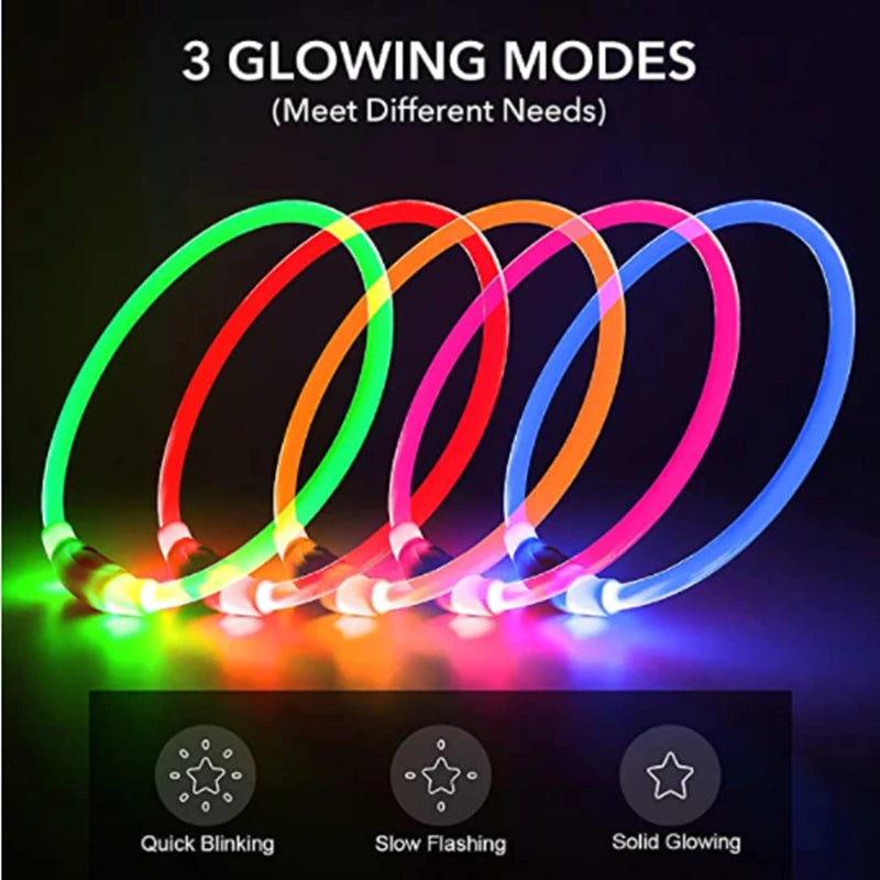 Light up dog collar, USB rechargeable LED glowing pet collar for night safety, available in multiple colors for dogs of all sizes.