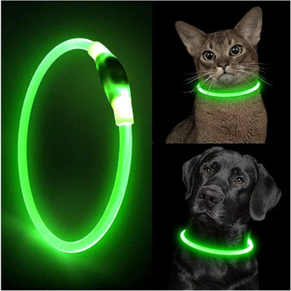 Light up dog collar, USB rechargeable LED glowing pet collar for night safety, available in multiple colors for dogs of all sizes.