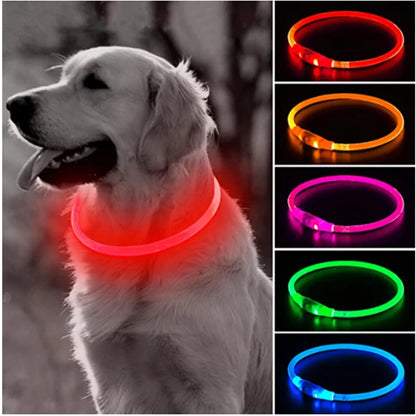 Light up dog collar, USB rechargeable LED glowing pet collar for night safety, available in multiple colors for dogs of all sizes.