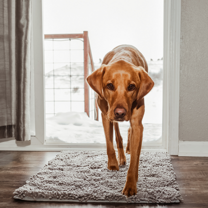 Furora Ultra-Absorbent Dog Mat - Non-Slip, Machine Washable, Soft & Stylish for Clean Floors