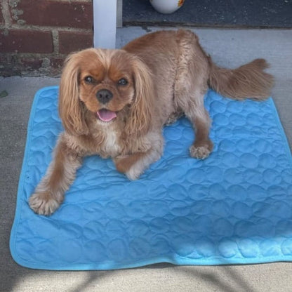 Furora Self-Cooling Mat for Dogs - 3-Layer Pet Cooling Pad for Heat Relief & Comfort