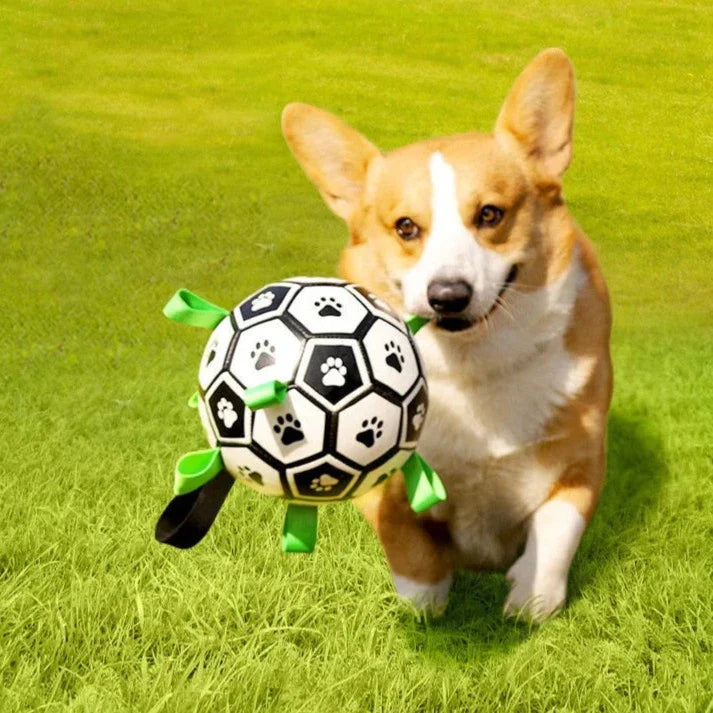 Pawelux Interactive Dog Soccer Ball with Easy Grip Straps – Durable, Safe & Fun Outdoor Pet Toy