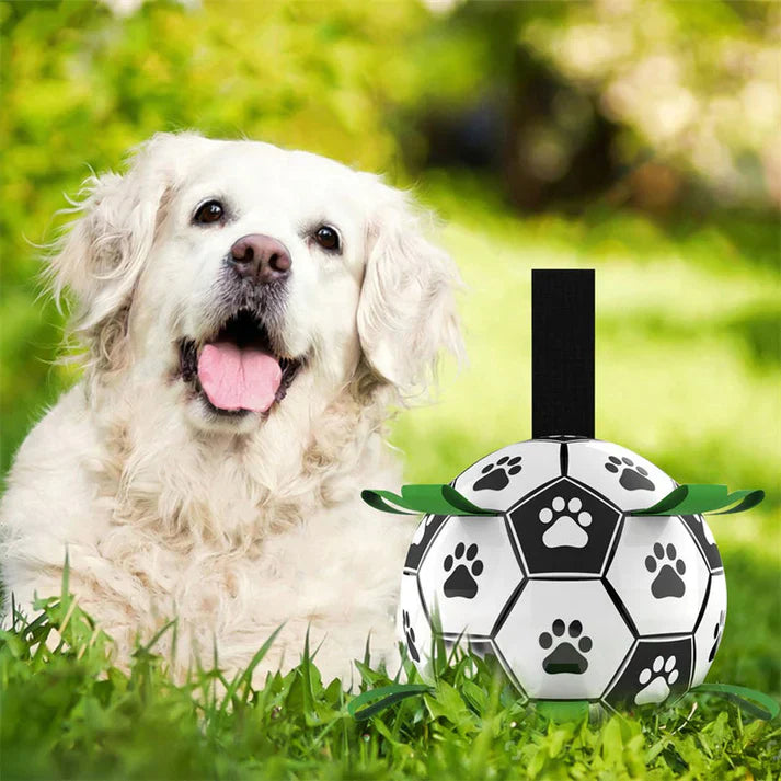 Pawelux Interactive Dog Soccer Ball with Easy Grip Straps – Durable, Safe & Fun Outdoor Pet Toy