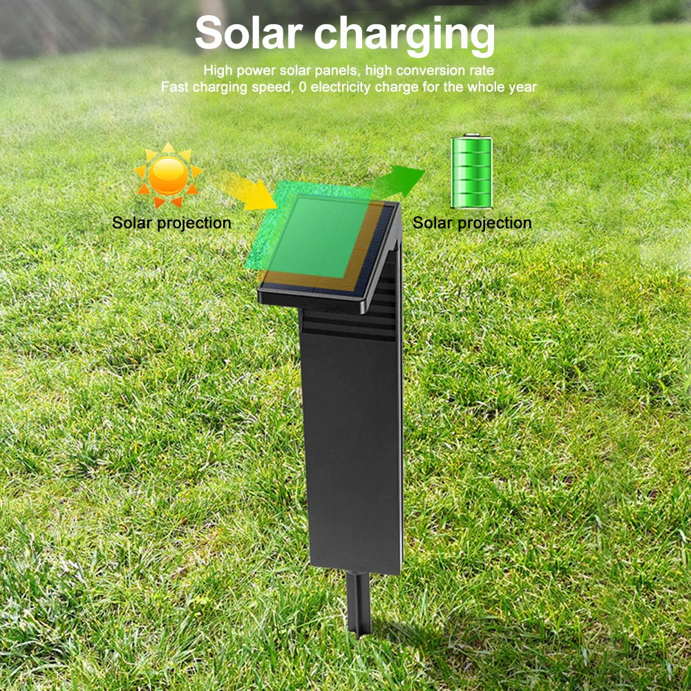 Solar LED Pathway Lights - Waterproof, Dual Color Solar Garden Lights