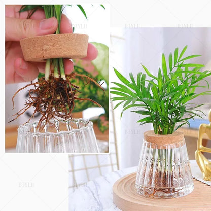 Royelux Hydroponic Glass Plant Vase with Wooden Base