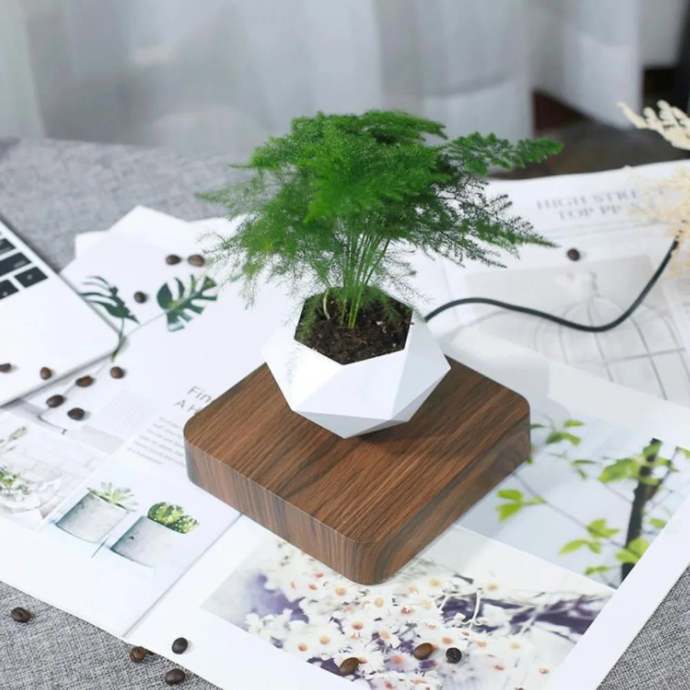 Levitating Air Bonsai Pot – Magnetic Floating Planter for Stylish Indoor Gardening