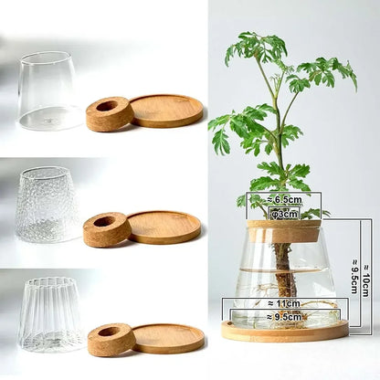 Royelux Hydroponic Glass Plant Vase with Wooden Base