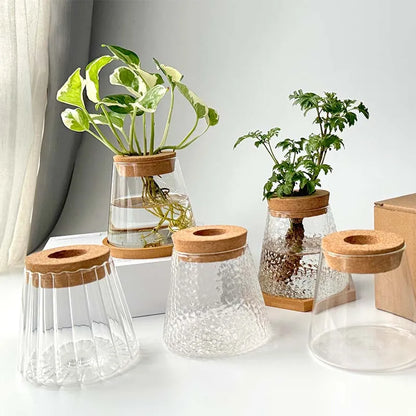 Royelux Hydroponic Glass Plant Vase with Wooden Base