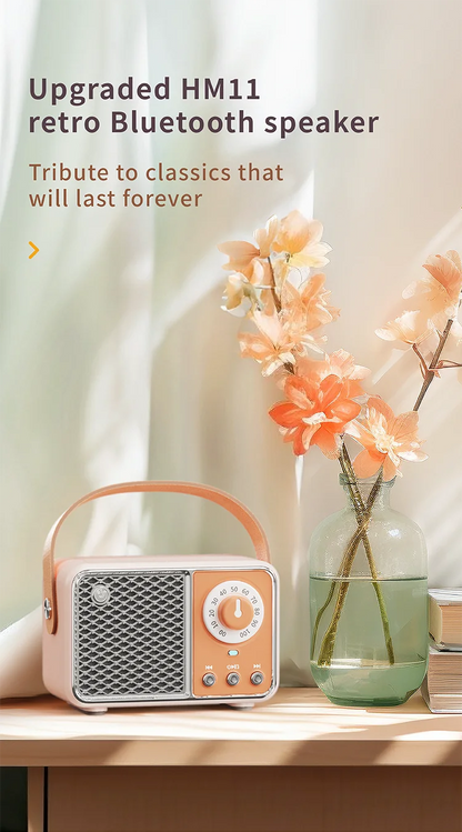 Portable Bluetooth Speaker – Multi-Mode Wireless Mini Speaker with Retro Design