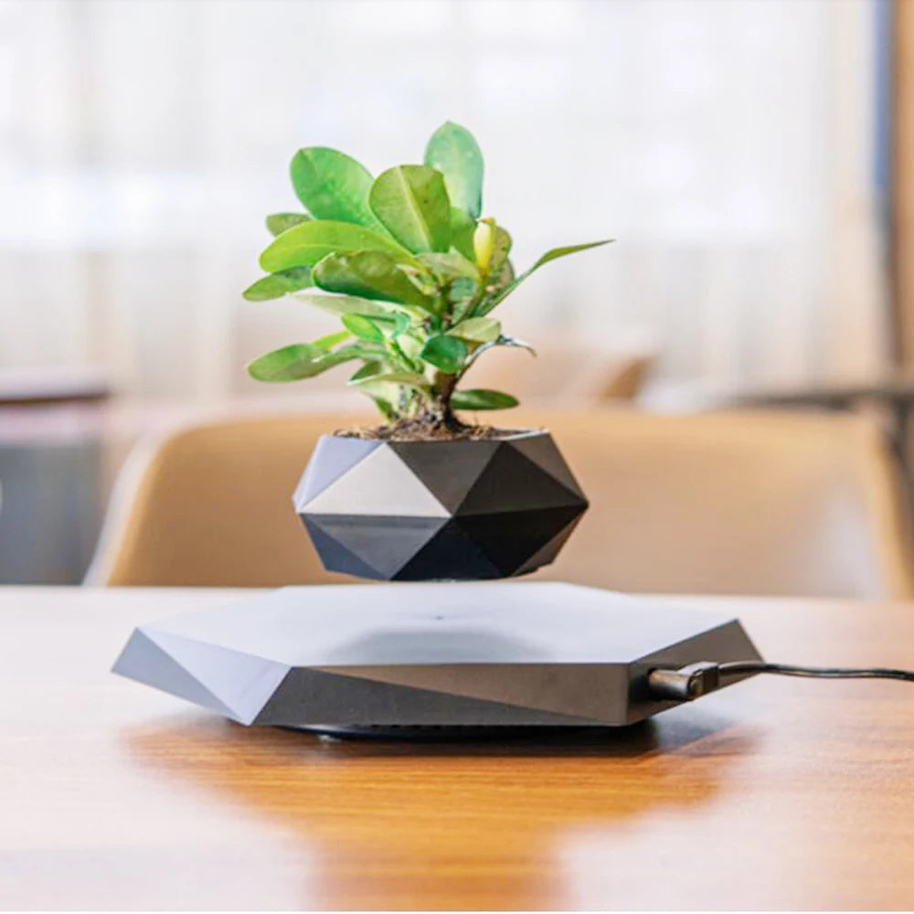 Floating Levitating Air Bonsai Pot with rotating magnetic suspension, perfect for home or office decor.