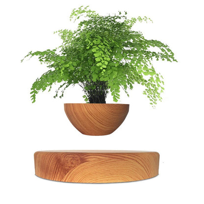 Levitating Air Bonsai Pot – Magnetic Floating Planter for Stylish Indoor Gardening