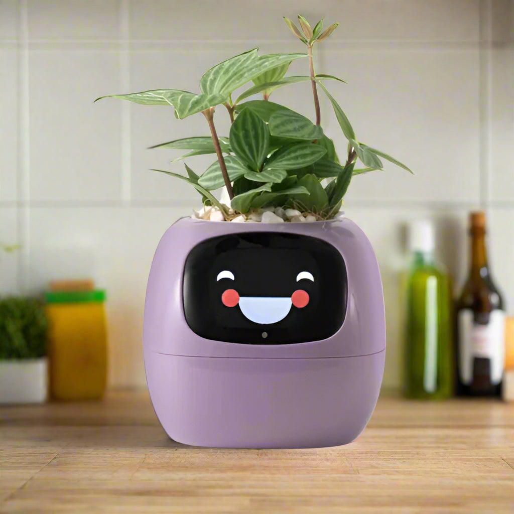 Smart Plant Pot with AI Sensors – Interactive Planter for Easy Plant Care - Purple