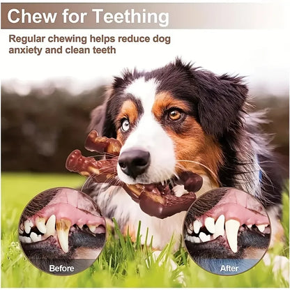 Pawellure Robust Chew Toy for Aggressive Chewers - Durable, Interactive, and Teeth Cleaning Companion