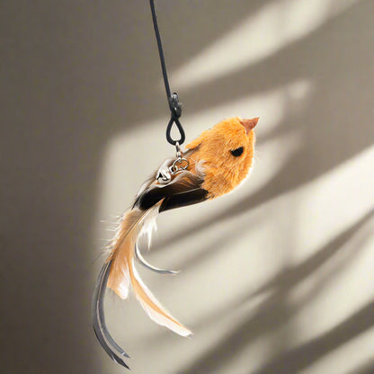 Interactive Hanging Cat Toy – Bungee for Exercise & Mental Stimulation