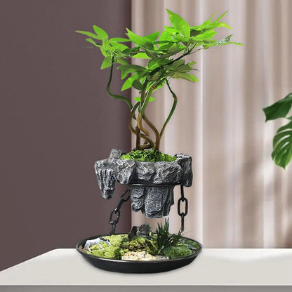 Royallure Levitating Air Bonsai Planter – Floating Indoor Décor for Homes & Offices