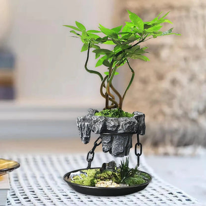 Royallure Levitating Air Bonsai Planter – Floating Indoor Décor for Homes & Offices